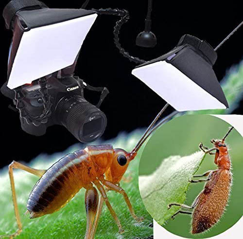 Flash diffuser in macro photography
