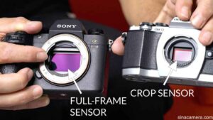انواع سنسور دوربین عکاسی | مقایسه فول فریم و کراپ فریم